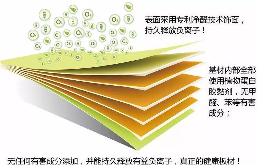 濃情端午,粽葉飄香 環(huán)保生活，健康你我